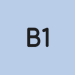 b1